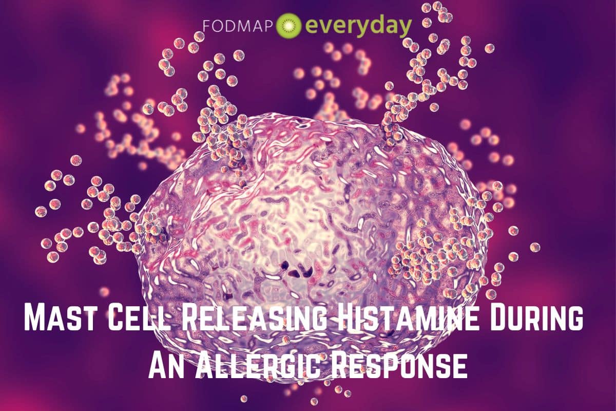 Image from FodmapEveryday of a mast cell releasing histamine during an allergic response.